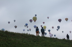 だいずさんかな？