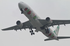 鷹いなかったので