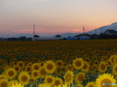 日没まで