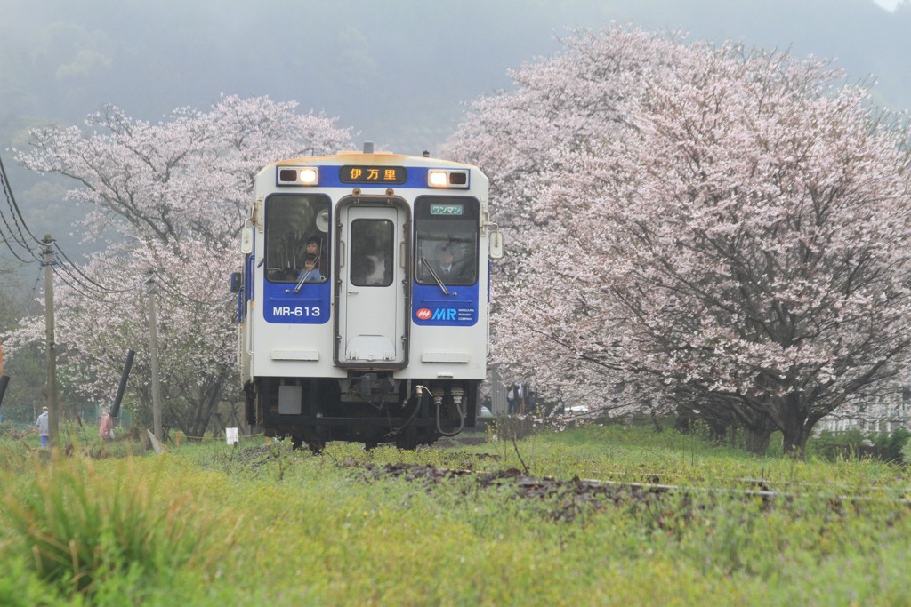運転手は僕だ