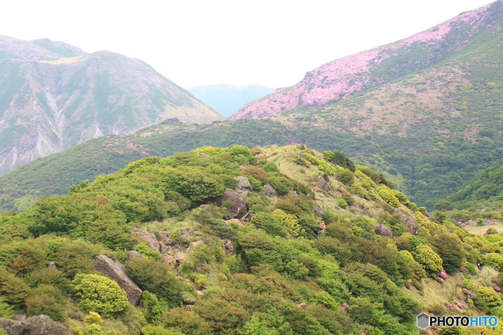 最高条件でしょう