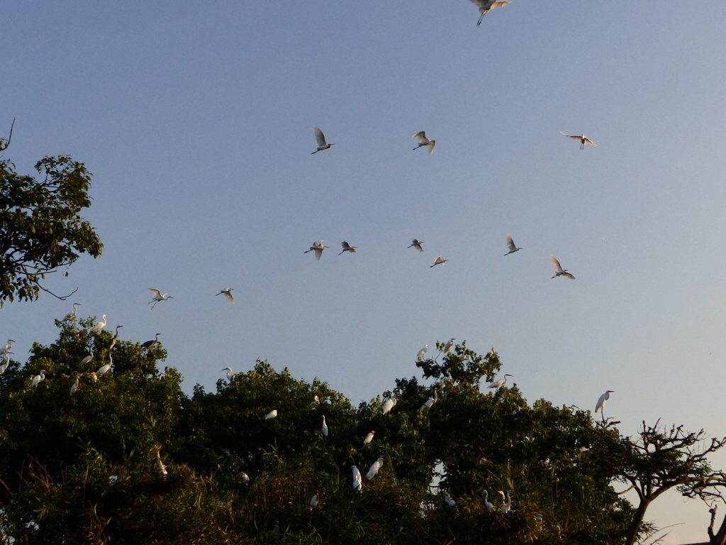 源サンきて逃げたかも