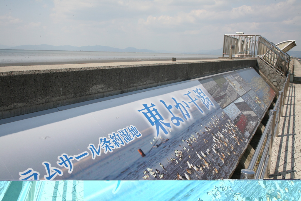 また行きました