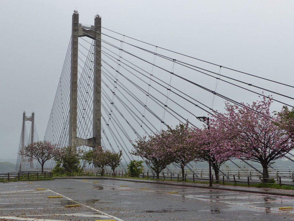 雨の大橋