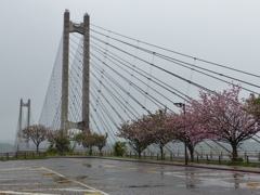 雨の大橋