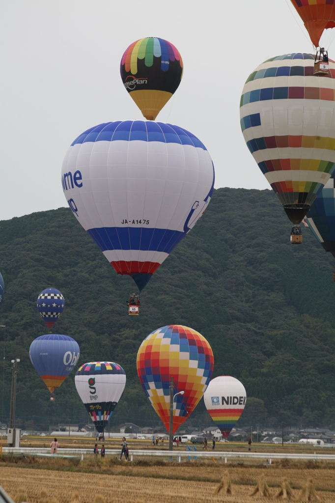 近所の人びっくり