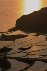 これはよさそう これはよさそう