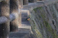 源さんここでいい