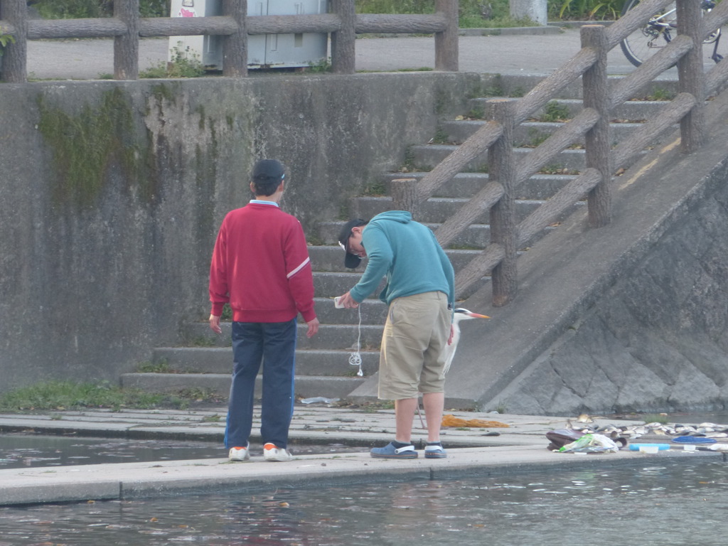 あおちゃん釣れたよ