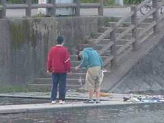 あおちゃん釣れたよ