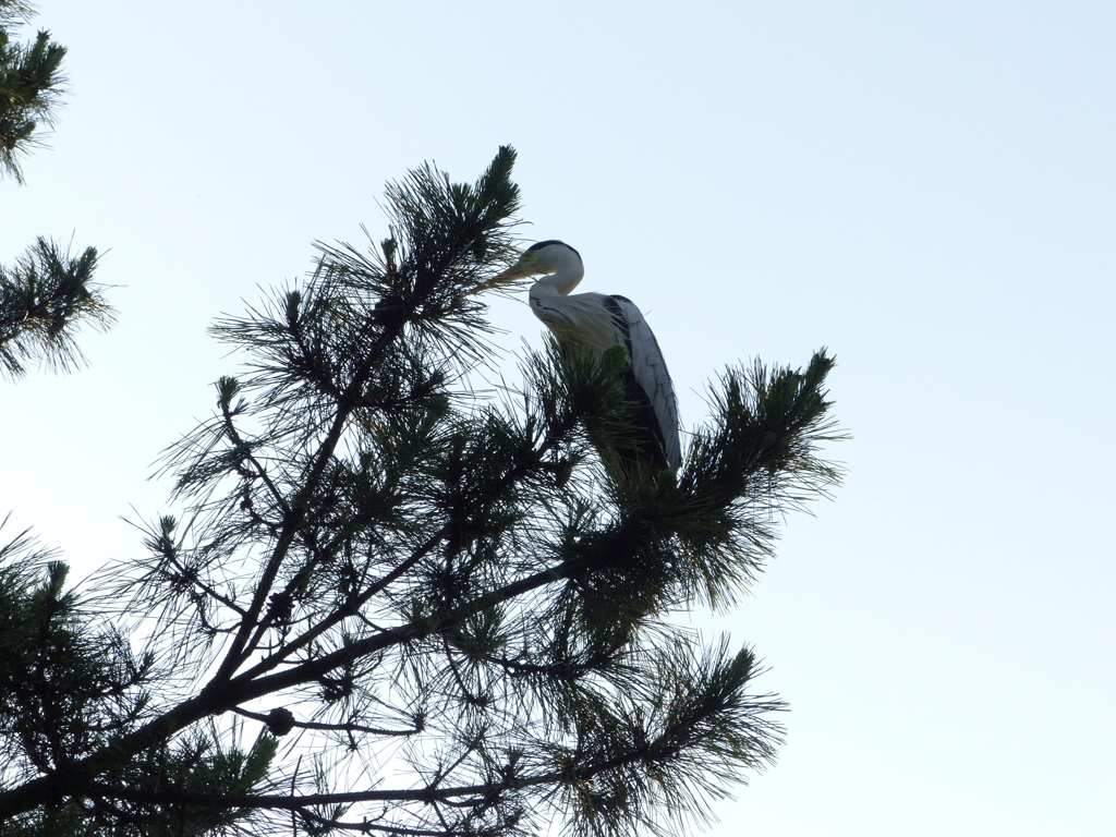 たまには下から