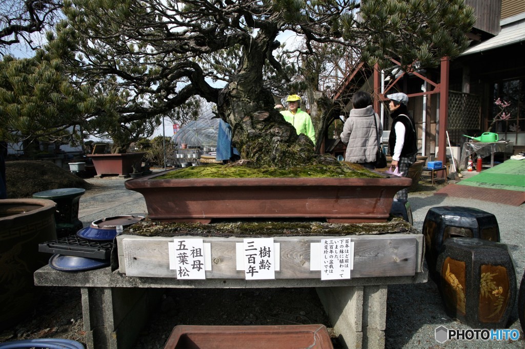 関ケ原あとかな