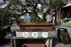 関ケ原あとかな