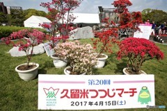 １０キロ歩きました