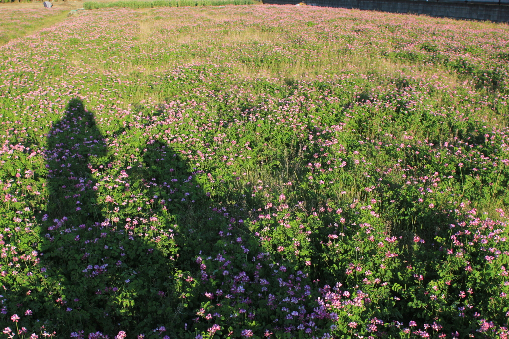 地鶏ちがう、自撮り