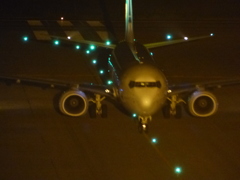 FZ２００は写りますね