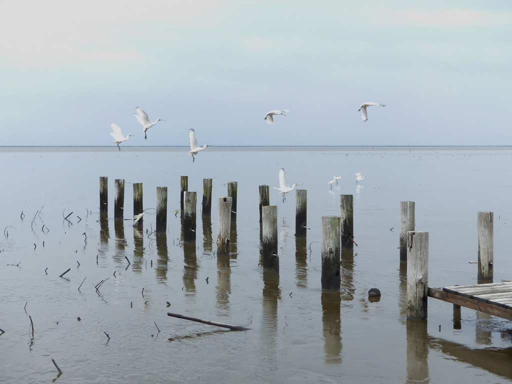 もう来てるはずですが