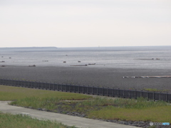 きれいになったよ