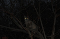 2016年最高の一枚