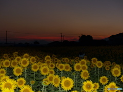 カメラのストロボで