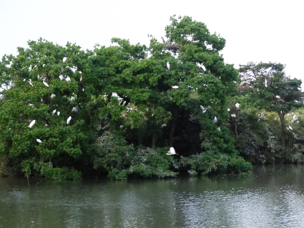 こーんなとこです
