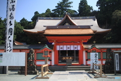 きれいになったよ