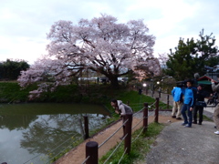 某NH系じゃないですか