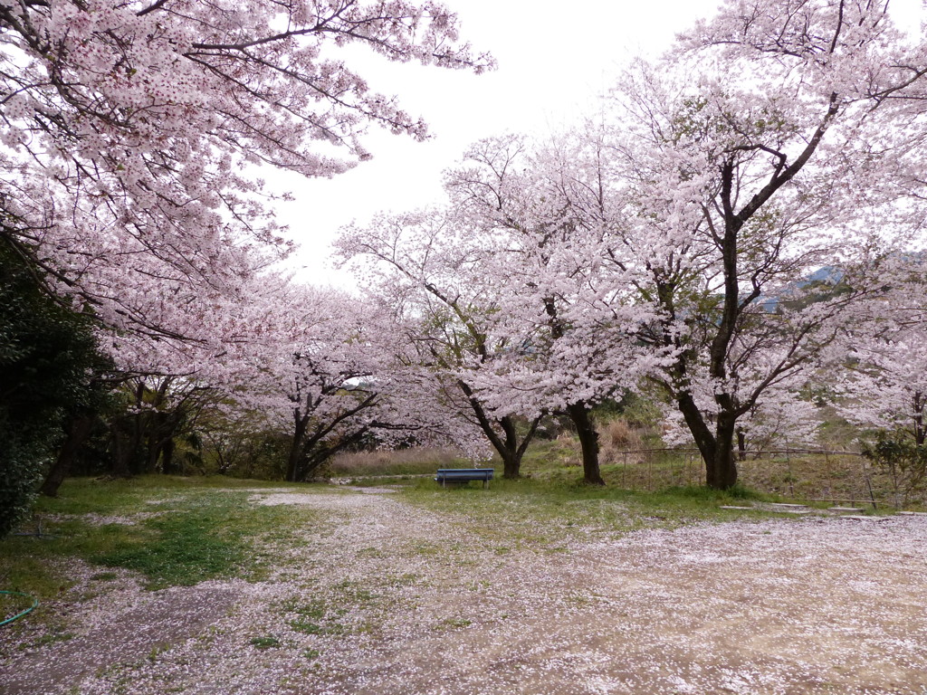 誰も来ない場所