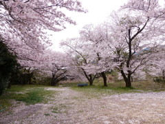 誰も来ない場所