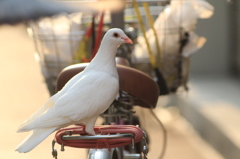 はやくいこうよ