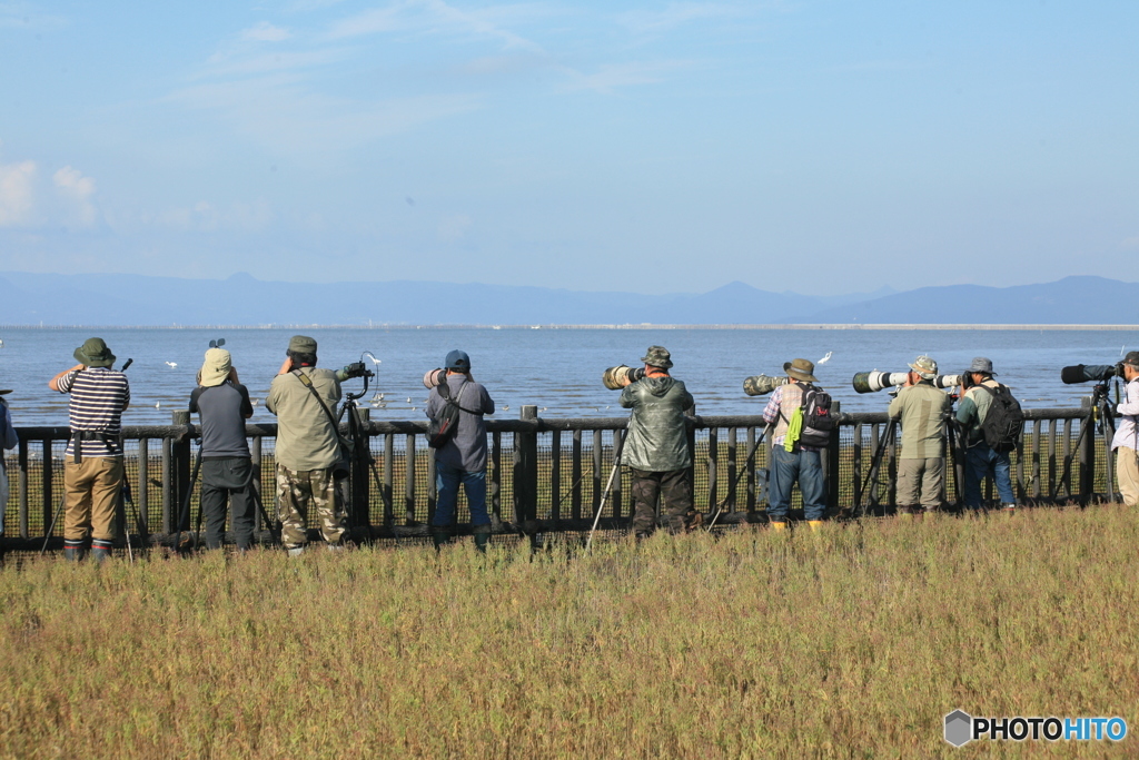 これは遠征組でしょう