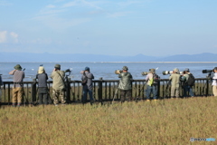 これは遠征組でしょう