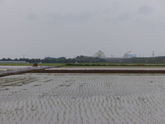 玄海原発