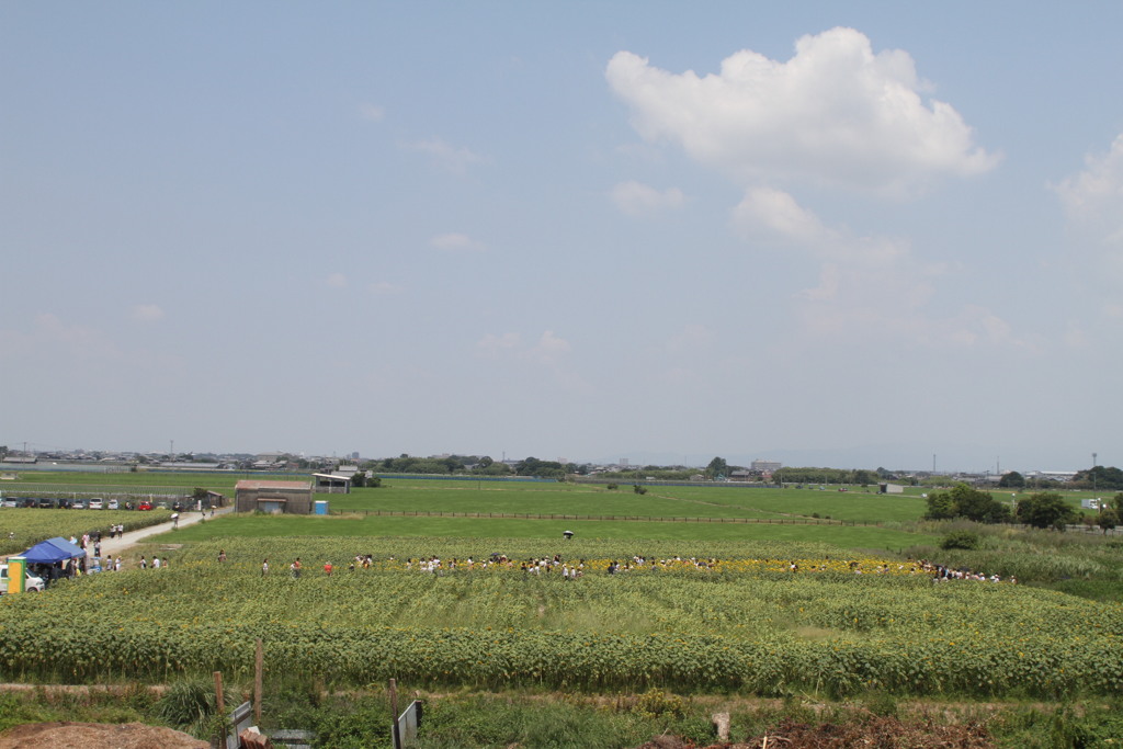 ３パーセントくらい見れますが