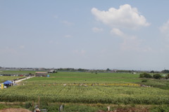 ３パーセントくらい見れますが