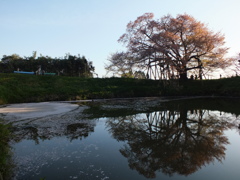 水面