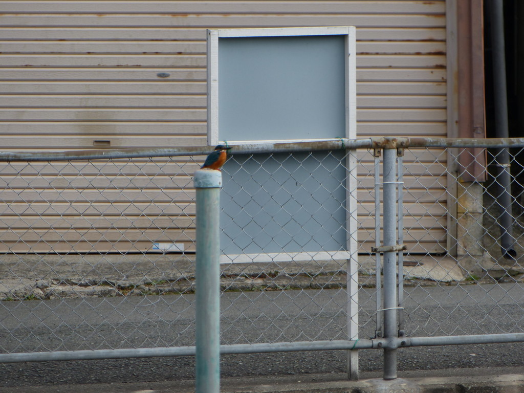 もっといい場所で