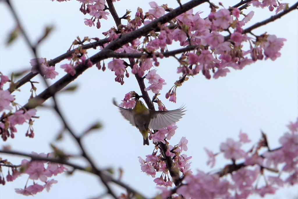 おはようございます