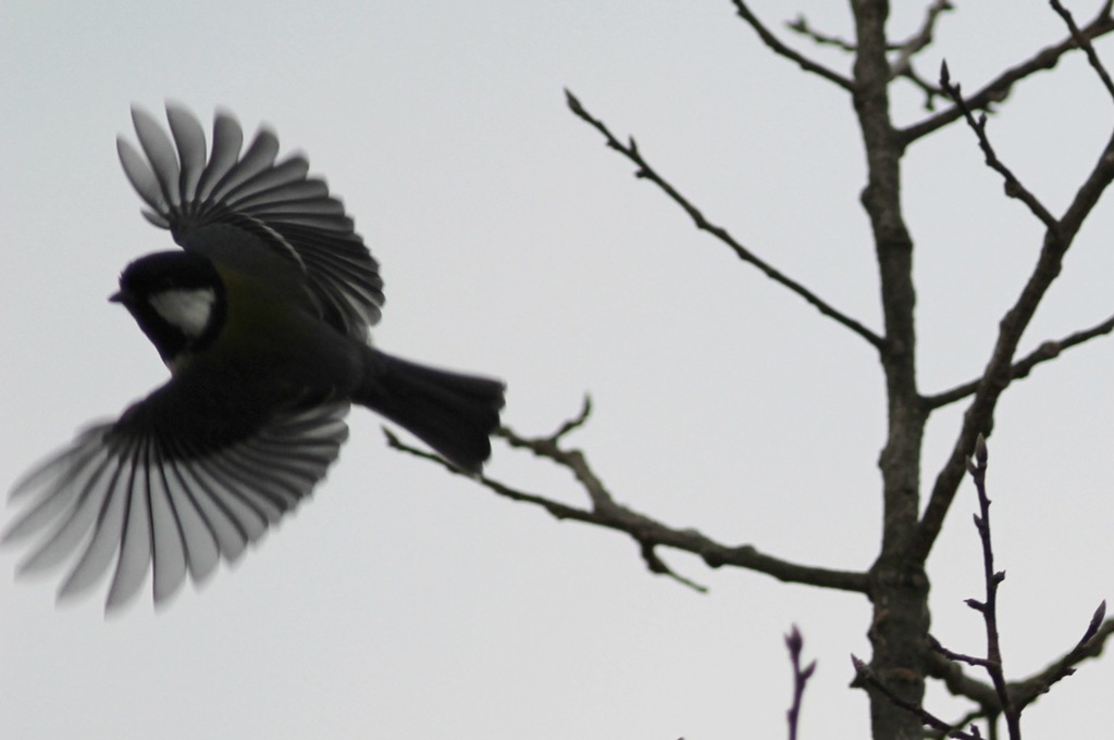 これは良さそう