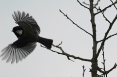 これは良さそう