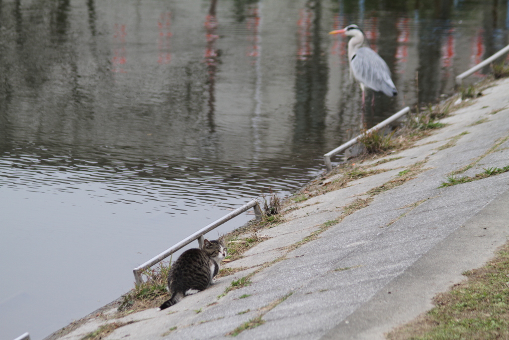 蹴とばされるよ