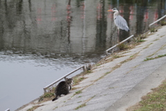 蹴とばされるよ