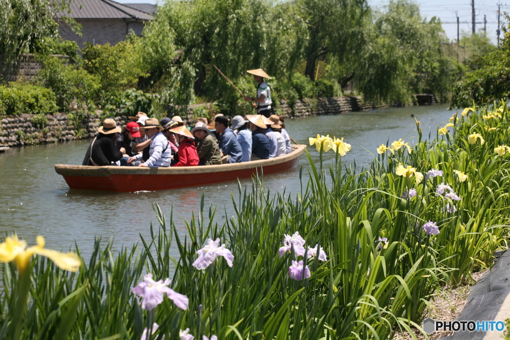 これからは雨の