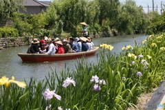 これからは雨の