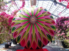 ワールドカップ始まるよ