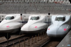 目が赤いね