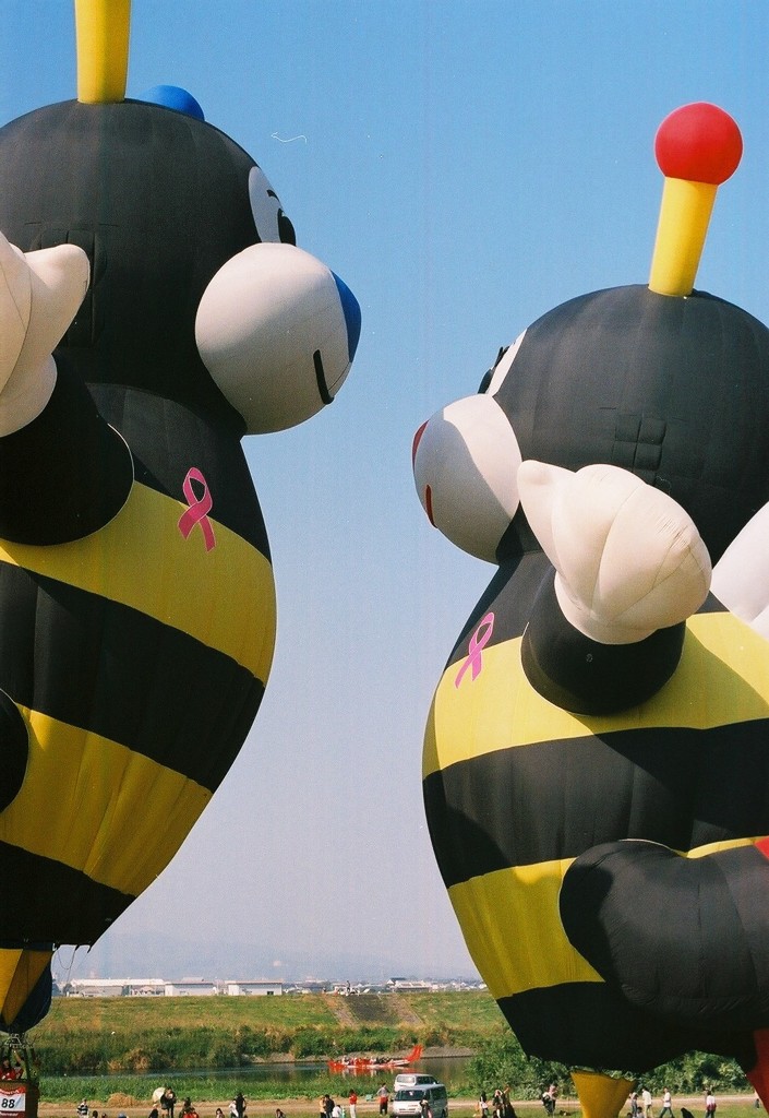 おはようございます