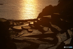 夕焼け棚田