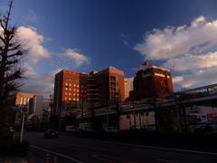 穏やかな年末年始みたい