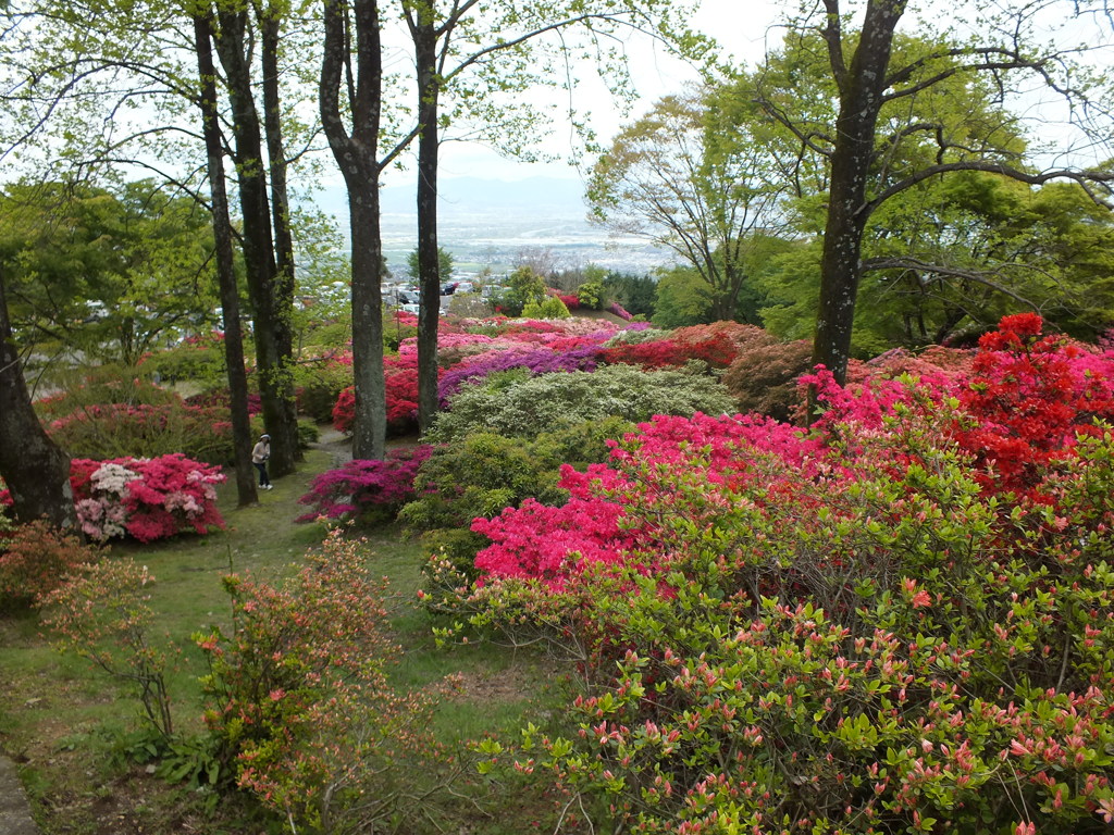 きれいな眺めです